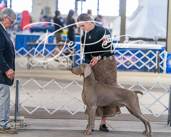 20260328-DSC07626