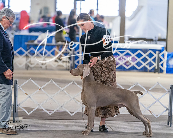 20260328-DSC07628