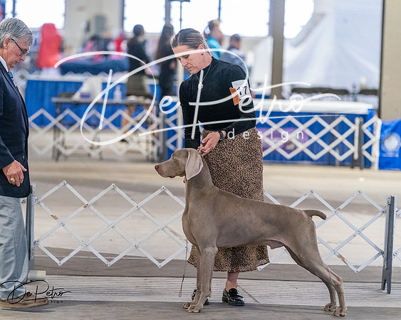20260328-DSC07630