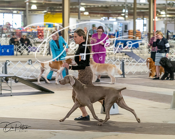 20260328-DSC07641