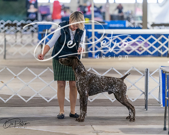 20260328-DSC07654