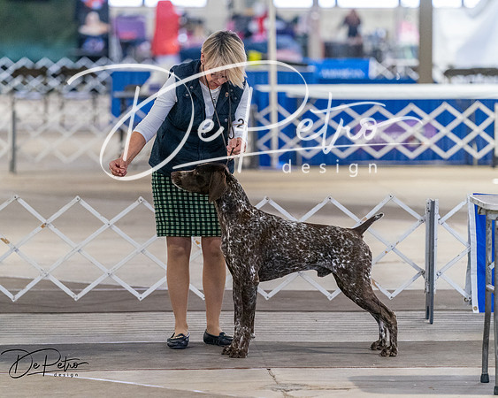 20260328-DSC07655