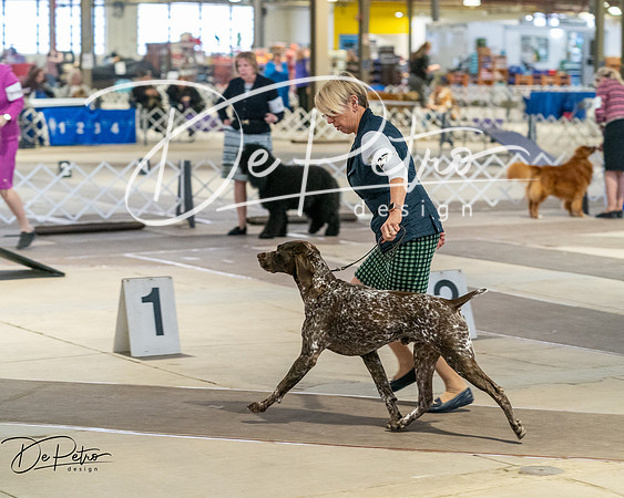 20260328-DSC07662
