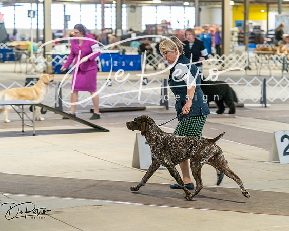 20260328-DSC07667