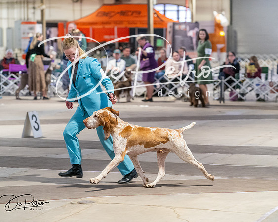 20260328-DSC07677