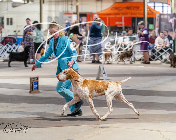 20260328-DSC07682
