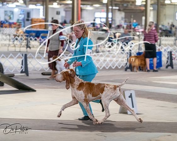 20260328-DSC07701