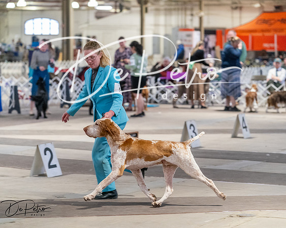 20260328-DSC07687