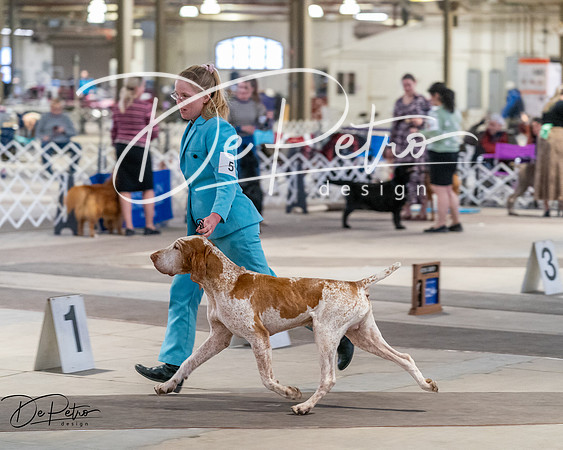 20260328-DSC07692