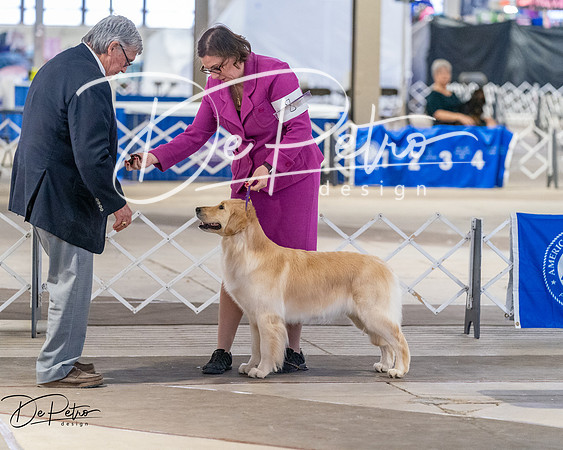 20260328-DSC07702