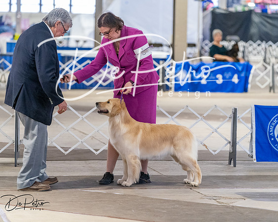 20260328-DSC07703