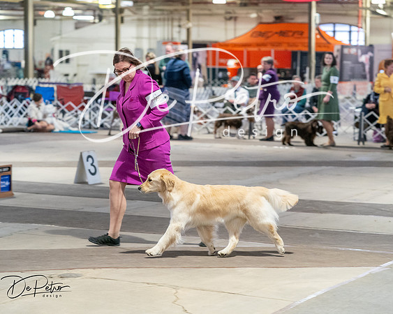 20260328-DSC07716