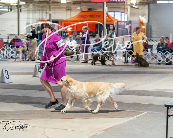 20260328-DSC07712