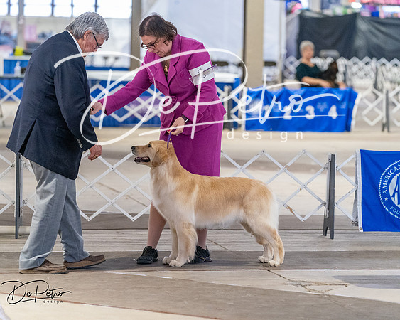 20260328-DSC07706