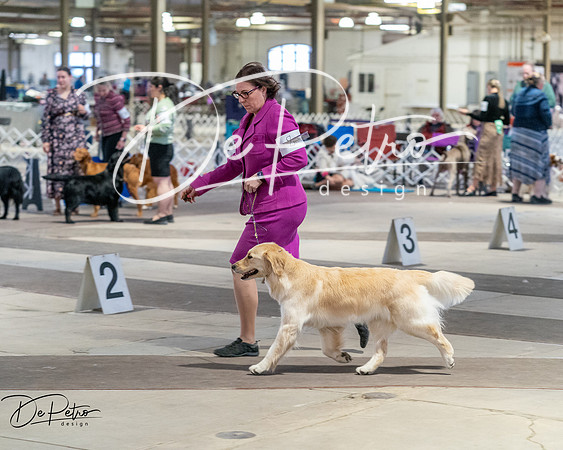 20260328-DSC07725