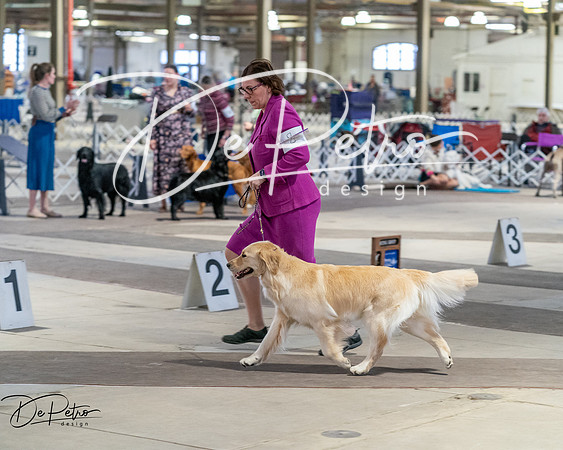 20260328-DSC07729