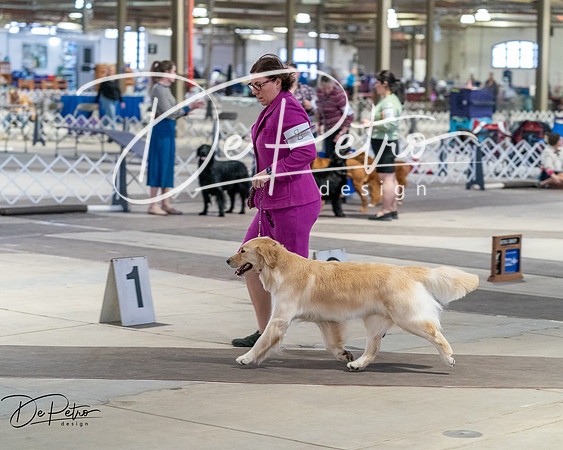 20260328-DSC07733