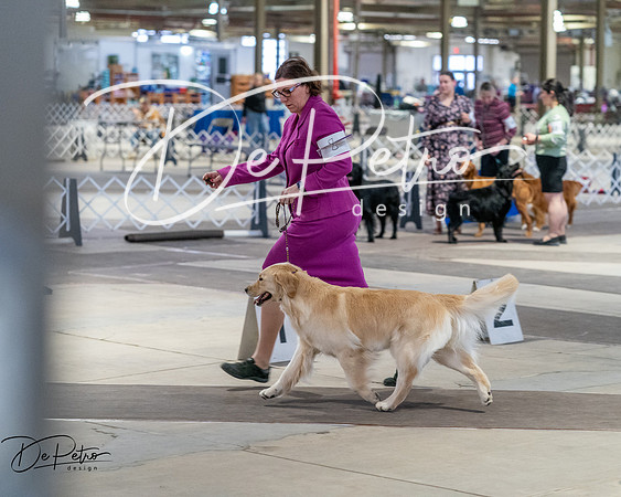 20260328-DSC07737