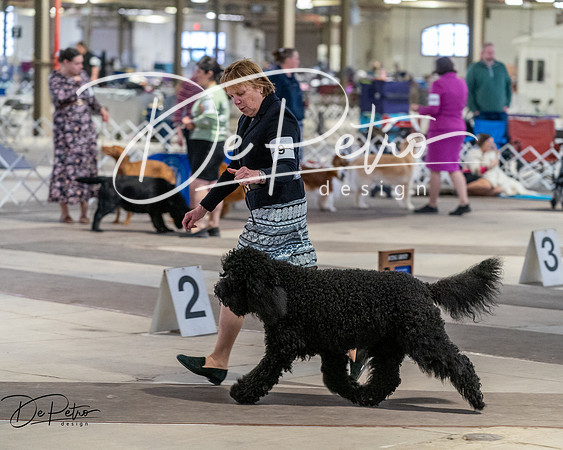 20260328-DSC07745