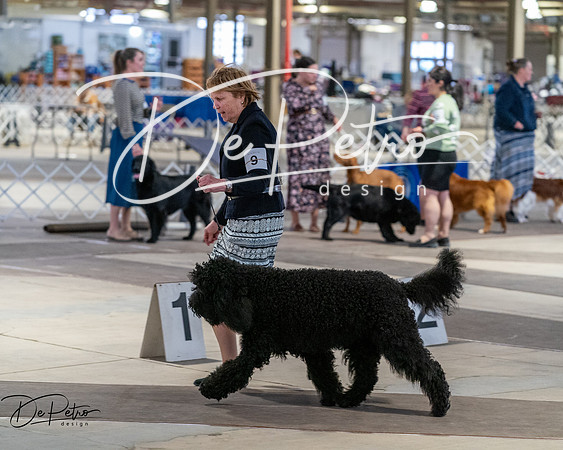 20260328-DSC07754