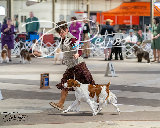 20260328-DSC07768