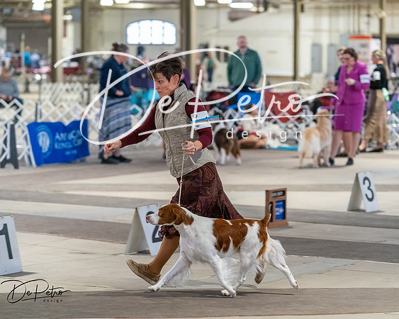 20260328-DSC07776