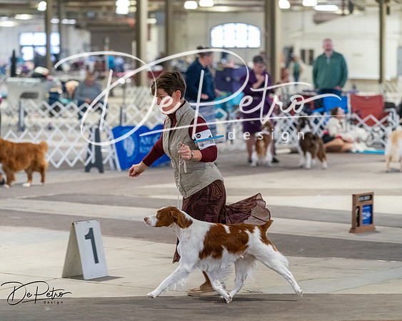 20260328-DSC07780