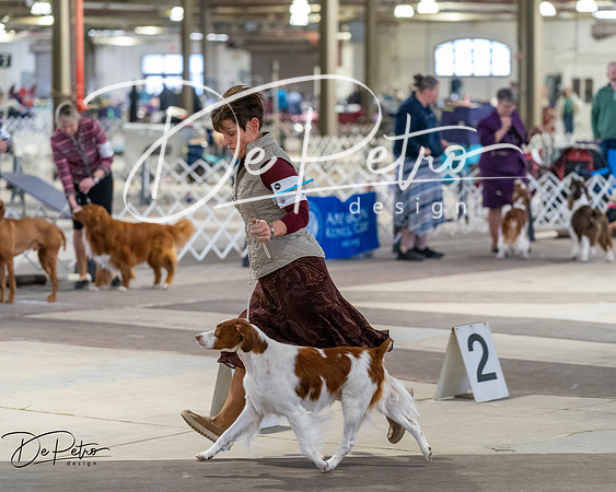 20260328-DSC07784