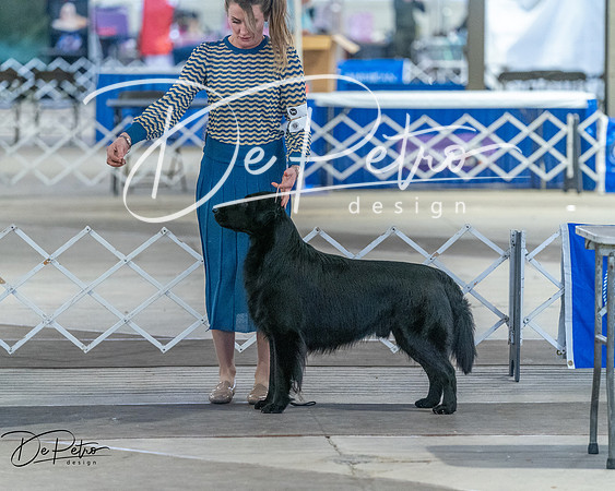 20260328-DSC07786
