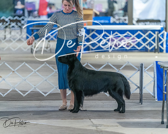 20260328-DSC07789