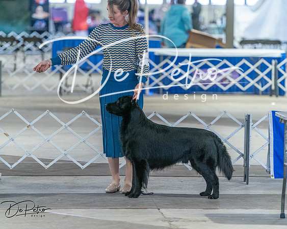 20260328-DSC07790