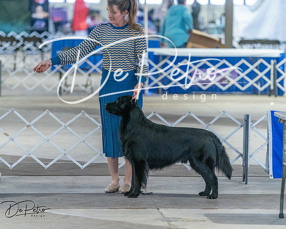 20260328-DSC07791