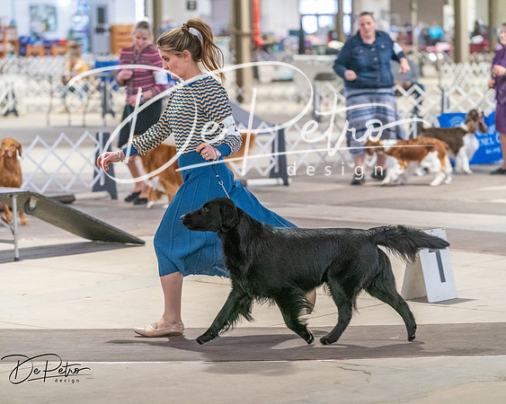 20260328-DSC07826