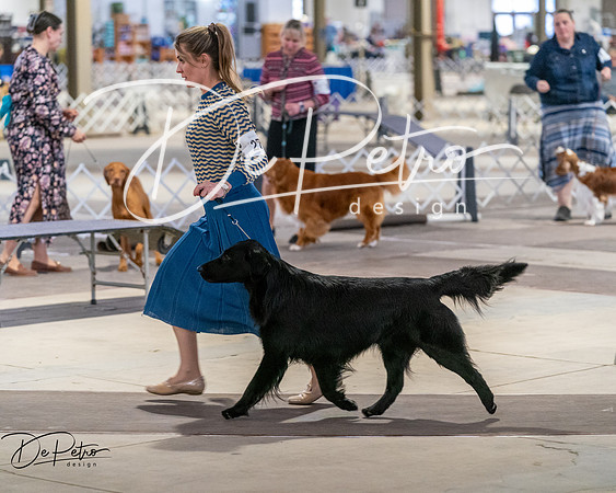 20260328-DSC07831