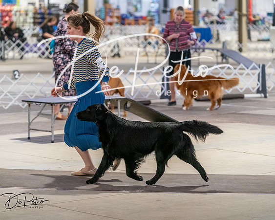 20260328-DSC07836