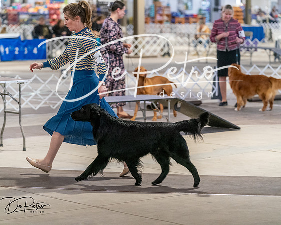 20260328-DSC07840