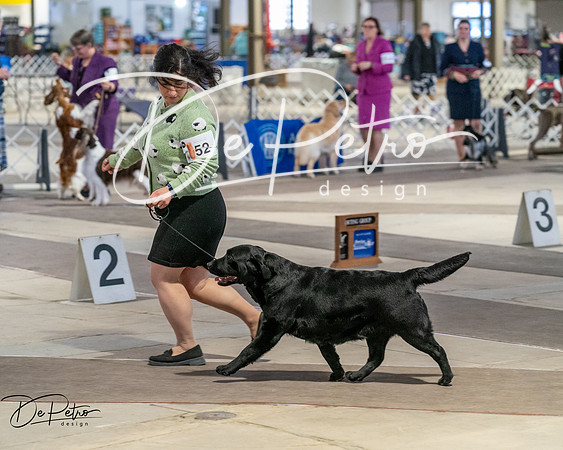 20260328-DSC07846