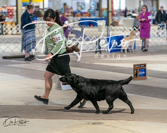 20260328-DSC07850