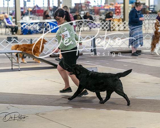 20260328-DSC07863