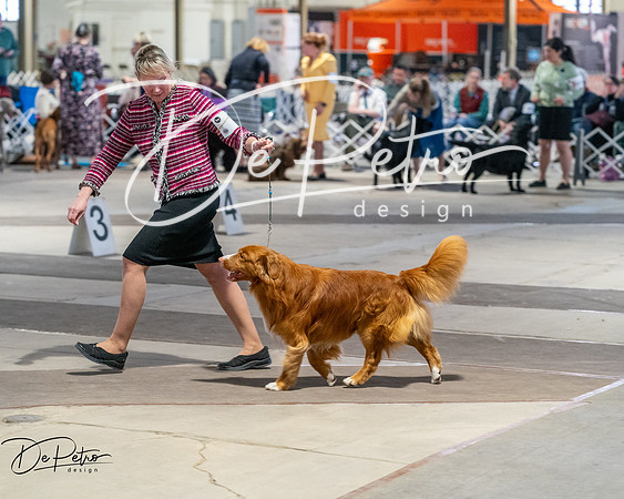 20260328-DSC07876