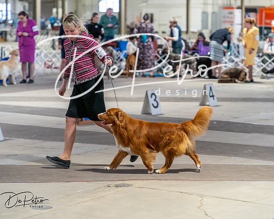 20260328-DSC07886
