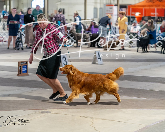 20260328-DSC07882