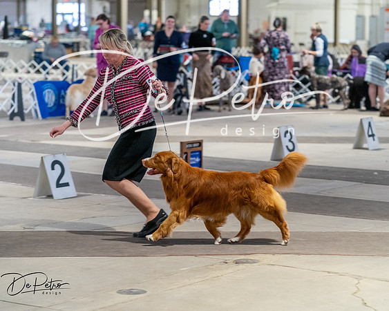 20260328-DSC07890