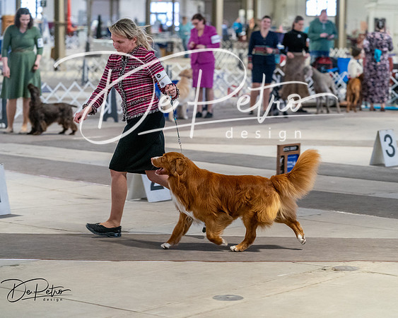 20260328-DSC07895
