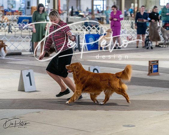 20260328-DSC07899