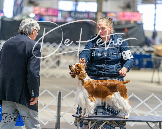 20260328-DSC07904