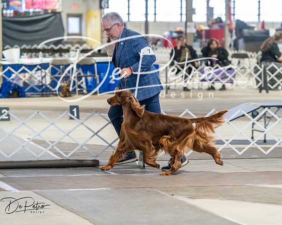 20260328-DSC07922