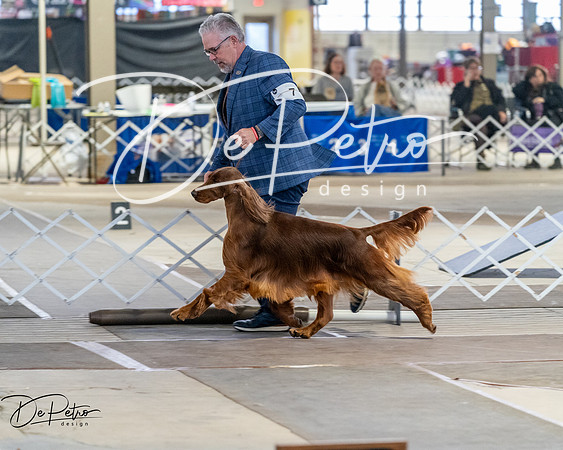 20260328-DSC07926