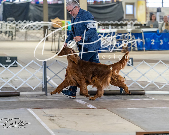 20260328-DSC07931