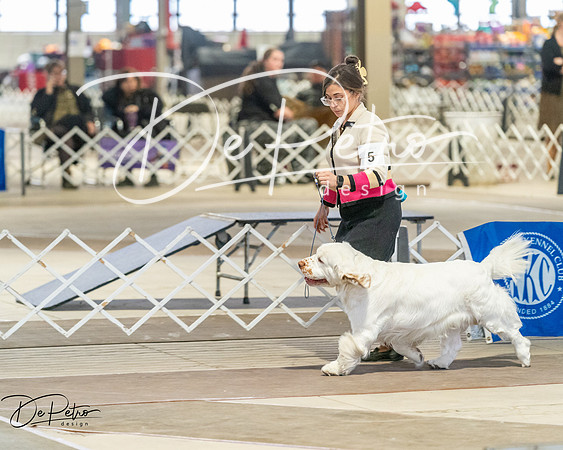 20260328-DSC07946